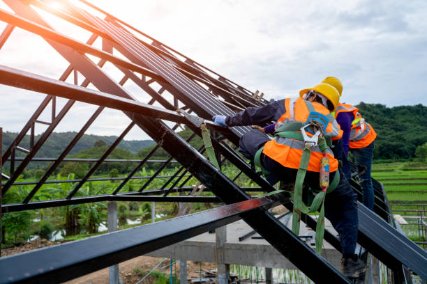 Best Roof Maintenance Services  in Dawson Springs, KY
